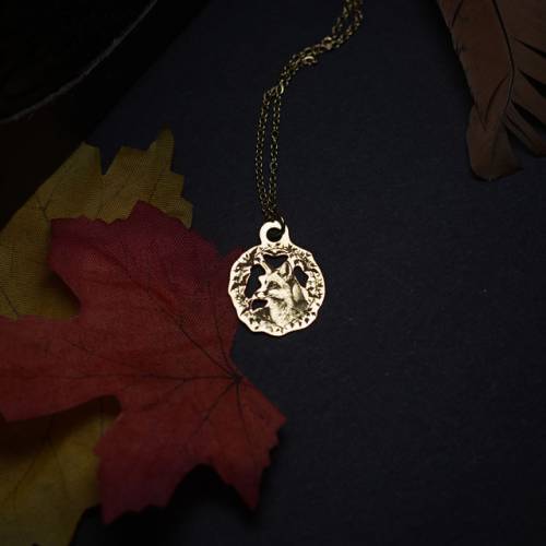 Le Fourbe qui Rit - collection followfall