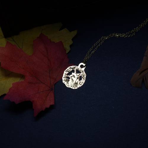 Le Fourbe qui Rit - collection followfall